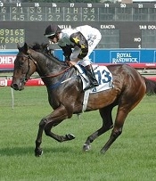 Handsupfordetroit in his old incarnation in Sydney<br>Photo by Racing and Sports